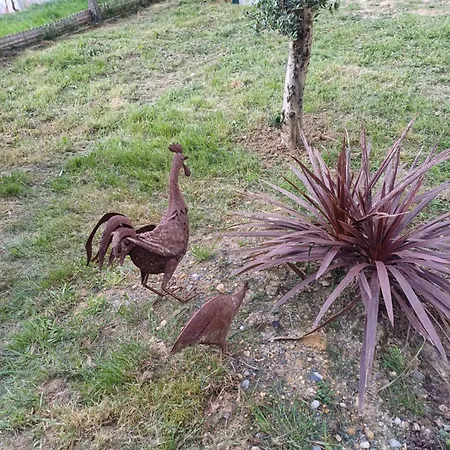 Bed & Breakfast Le Chant Des Oiseaux Cambo-les-Bains