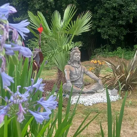 Le Chant Des Oiseaux B&B
