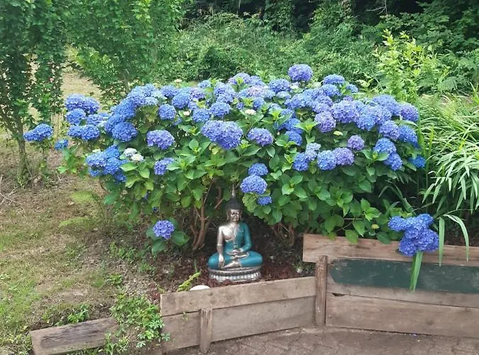 Le Chant Des Oiseaux Bed & Breakfast