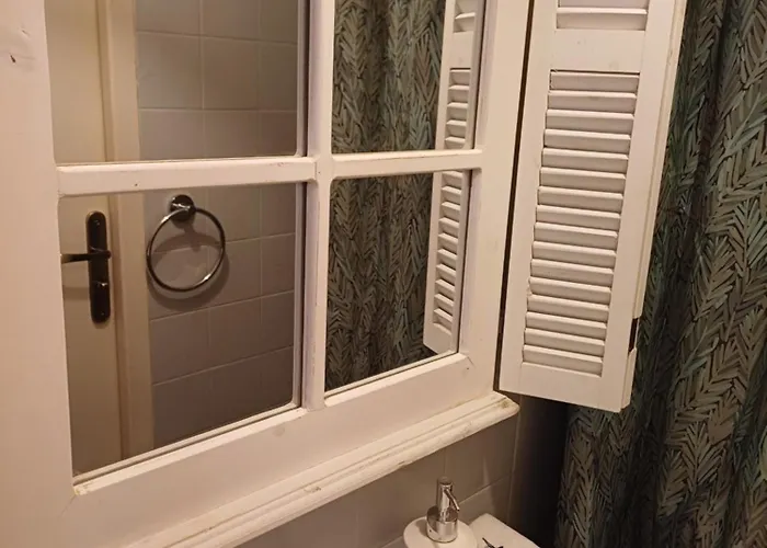 Le Chant Des Oiseaux